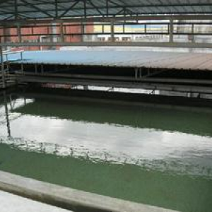 湖南造纸污水处理工程